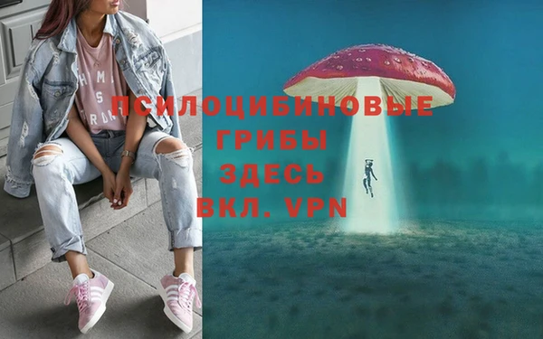 амф Алексин