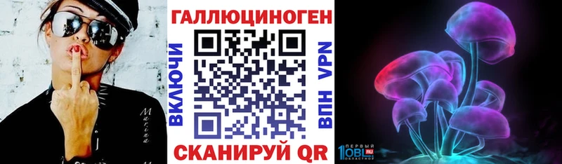 как найти   Завитинск  Псилоцибиновые грибы Magic Shrooms 