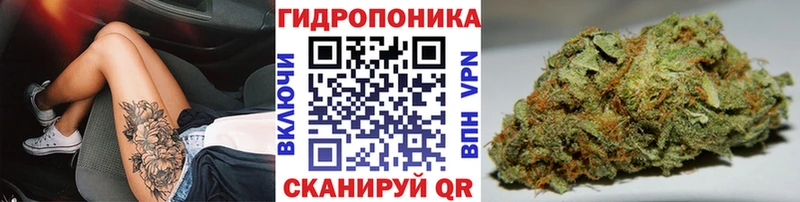 Бошки Шишки LSD WEED hydra онион Завитинск